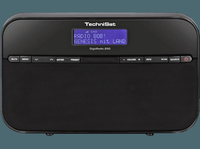 TECHNISAT 0000/4968 250  (Digital, UKW, DAB, DAB , Schwarz)