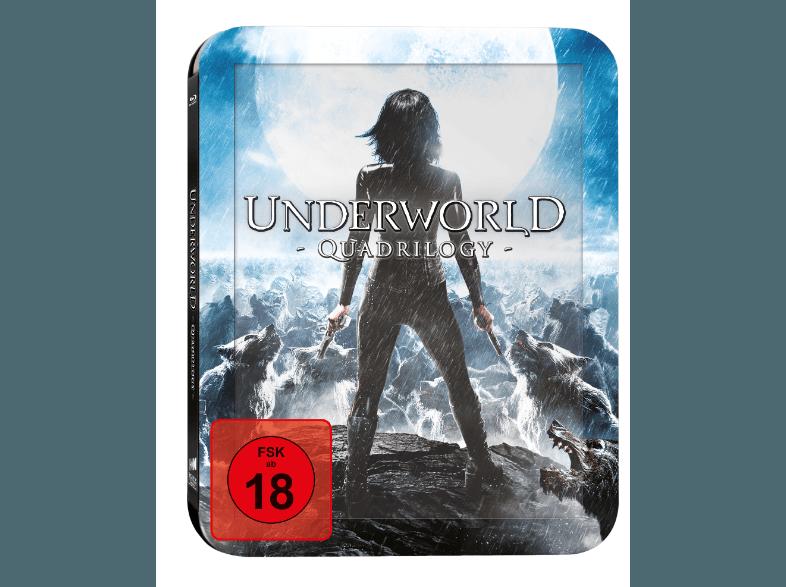 Underworld 1-4 (Ultimate Hero Pack inklusive 23 cm Figur) [Blu-ray]