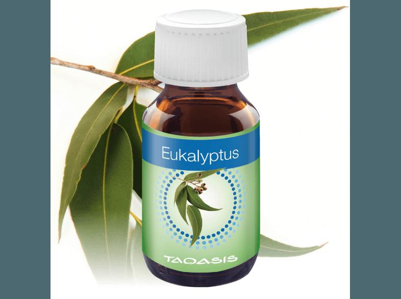 VENTA 6017000 Venta Eukalyptus-Duft, 150 ml