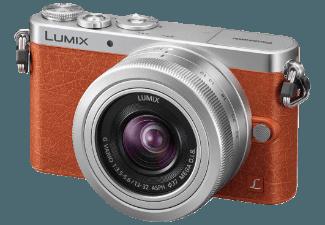 PANASONIC Lumix DMC-GM 1 KEG-D    Objektiv 12-32 mm f/3.5-5.6 (16 Megapixel, Micro-Four-Thirds-Live-MOS)
