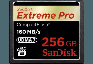 SANDISK 123863 Extreme Pro , 1067x, 256 GB