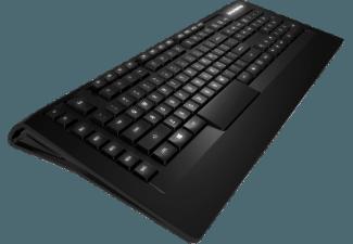 STEELSERIES APEX Raw Tastatur