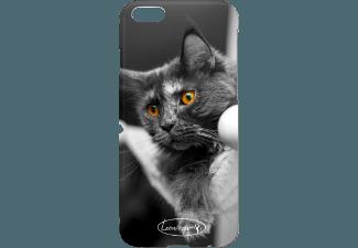 CIES LNMC-2304168 Cover iPhone 6