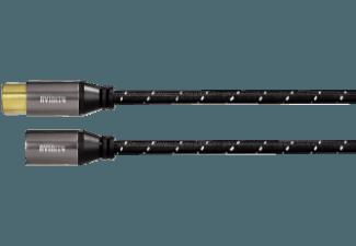 AVINITY ACL2 XLR-Stecker 500 mm Stecker