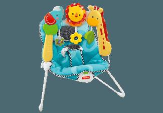 FISHER PRICE BFB14 2-in-1 Sensory Stages Wippe Mehrfarbig