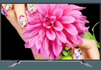 CHANGHONG LED32D2200DS LED TV (Flat, 31.5 Zoll, HD-ready), CHANGHONG, LED32D2200DS, LED, TV, Flat, 31.5, Zoll, HD-ready,