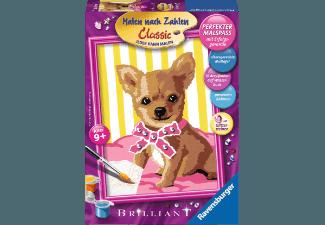 RAVENSBURGER 27990 Kleiner Chihuahua