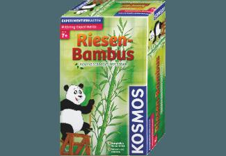 KOSMOS 657406 Riesenbambus